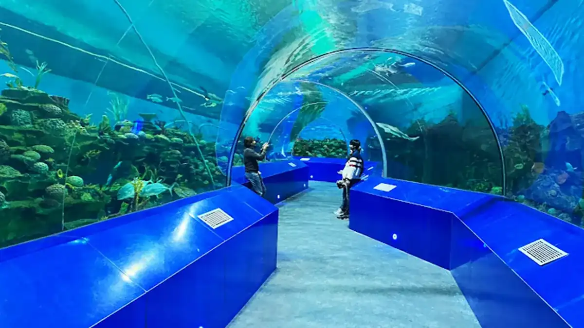 Science City